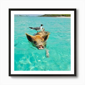 Pig In The Water Art Print