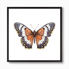 Butterfly 17 Art Print