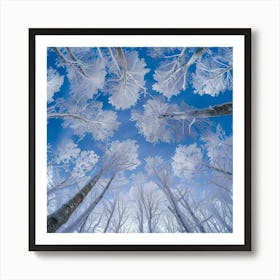 Frosted Trees Art Print