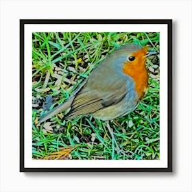 Robin Redbreast Art Print