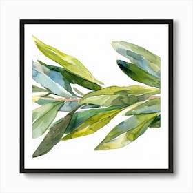 Olive Branch Watercolor Painting 1 Art Print