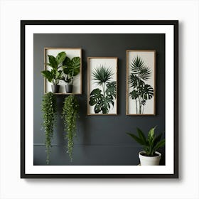 Three Plants On A Wall 1 Art Print