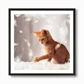 Kitten Playing With Feathers Art Print