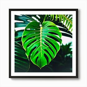 Jungles big leaf Art Print