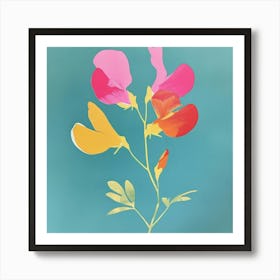 Sweet Pea 1 Square Flower Illustration Art Print