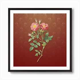 Vintage Sweetbriar Rose Botanical on Falu Red Pattern n.1957 Art Print