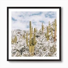 Snowy Desert Hillside Art Print