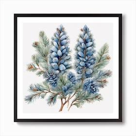 Blue spruce branches 3 Art Print