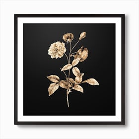 Gold Botanical China Rose on Wrought Iron Black n.2597 Art Print