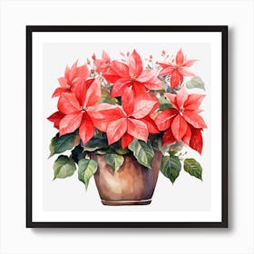 Poinsettia 3 Art Print