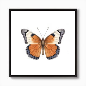 Butterfly 42 Art Print