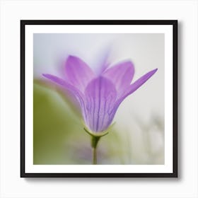 Purple Flower Botanical Photography Art Print