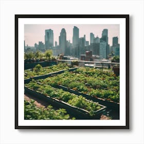 Rooftop Garden In New York City Art Print