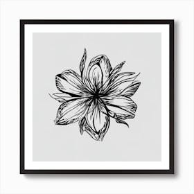 Lily Drawing Art Print