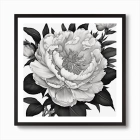 Colouring Book In Black And White Of Peony Flower Drawn In Disney Style Black And White Colours No 528859390 Art Print
