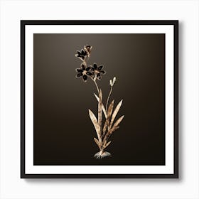 Gold Botanical Ixia Grandiflora on Chocolate Brown Art Print