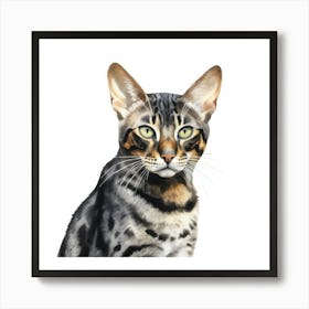 Black Bengal Cat Portrait 3 Art Print