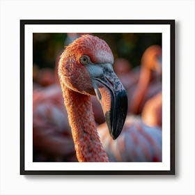 Flamingos 15 Art Print