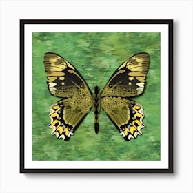 Mechanical Butterfly The Battus Madyes Tucumanus On A Green Background Art Print