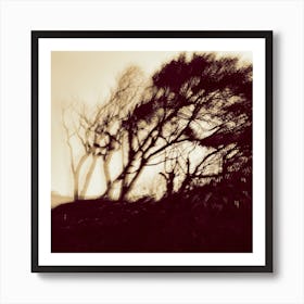 Viento Square Art Print