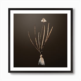 Gold Botanical Spring Squill on Chocolate Brown Art Print