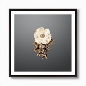 Gold Botanical Mexican Poppy Flower Branch on Soft Gray n.3567 Art Print