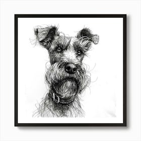 Cesky Terrier Dog Line Sketch 3 Art Print