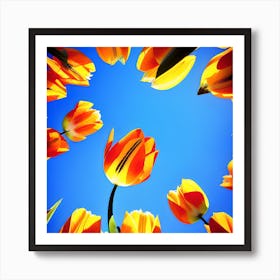 Tulips In A Circle Art Print