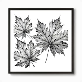 Line Art maple leaves 3 Art Print