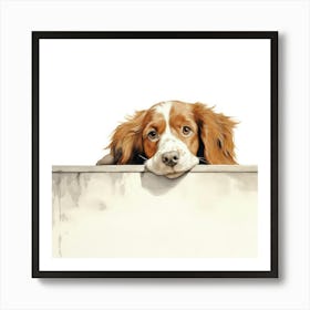 Setter Irish Red 1 Art Print