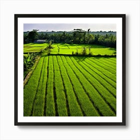 Grow Plant Green Background Field Aerial Landscape Pattern Agriculture Grass Harvesting C (5) Art Print