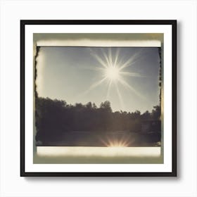 Sun Shines Through The Trees Art Print