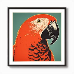 Retro Bird Lithograph Macaw 3 Art Print