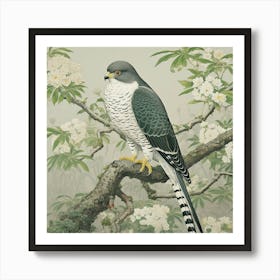 Ohara Koson Inspired Bird Painting Eurasian Sparrowhawk 1 Square Art Print