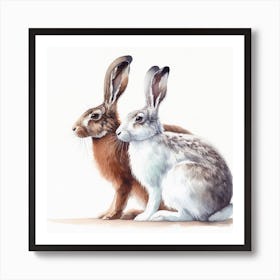 Hares Winter and Summer Art Print