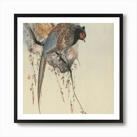 Pheasants In Cherry Blossoms Art Print