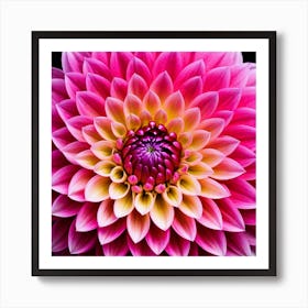 Vibrant pink dahlia flower 4 Art Print