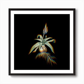 Prism Shift Lachenalia Lanceaefolia Botanical Illustration on Black n.0283 Art Print