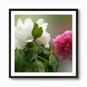 Japanese Peony Art Print