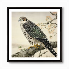 Ohara Koson Inspired Bird Painting Falcon 5 Square Art Print