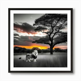 Lion At Sunset 18 Art Print