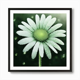 Daisy With Water Droplets Art Print