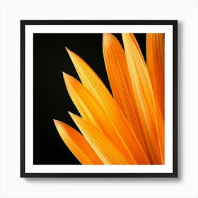 Close Up Of Orange Flower Art Print