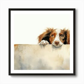 Setter Irish 3 Art Print