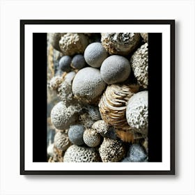 Sand And Shells Art Print