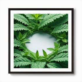 Cannabis Leaf Background Art Print