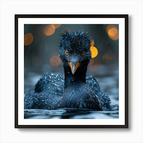 Black Duck In The Rain Art Print