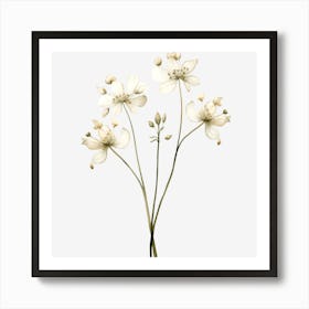 White Flowers On A Black Background Art Print