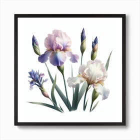 Flower of Iris 2 Art Print