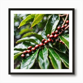 Coffee Beans On The Tree 6 Art Print